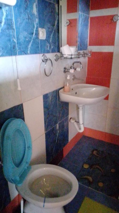 Ferienwohnung Hacijenda Gane Sokobanja Exterior foto