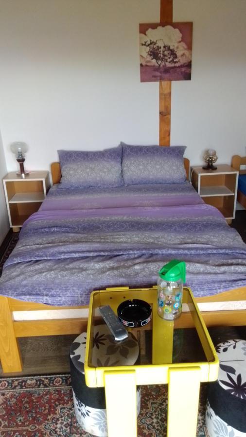 Ferienwohnung Hacijenda Gane Sokobanja Exterior foto
