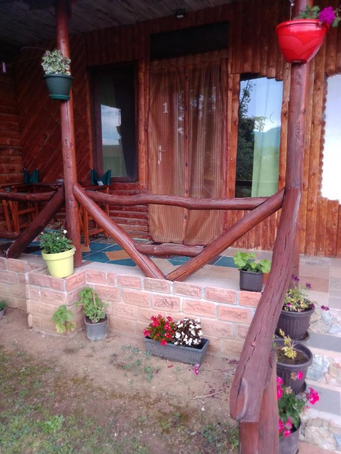 Ferienwohnung Hacijenda Gane Sokobanja Exterior foto