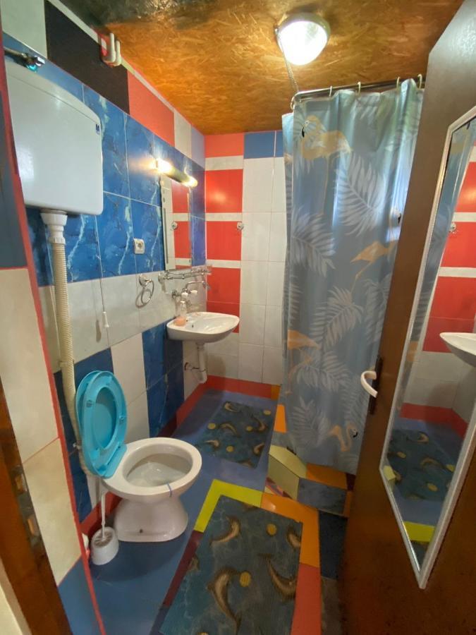 Ferienwohnung Hacijenda Gane Sokobanja Exterior foto