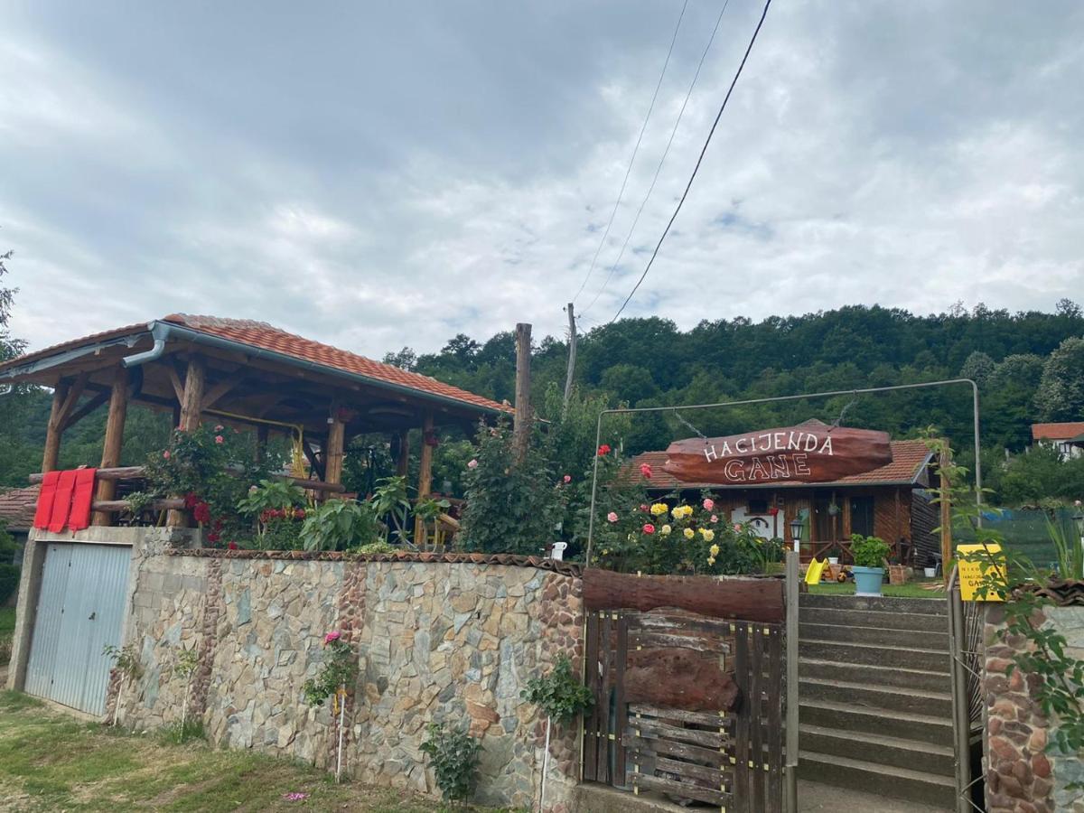 Ferienwohnung Hacijenda Gane Sokobanja Exterior foto