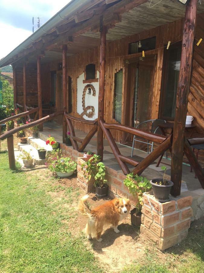 Ferienwohnung Hacijenda Gane Sokobanja Exterior foto